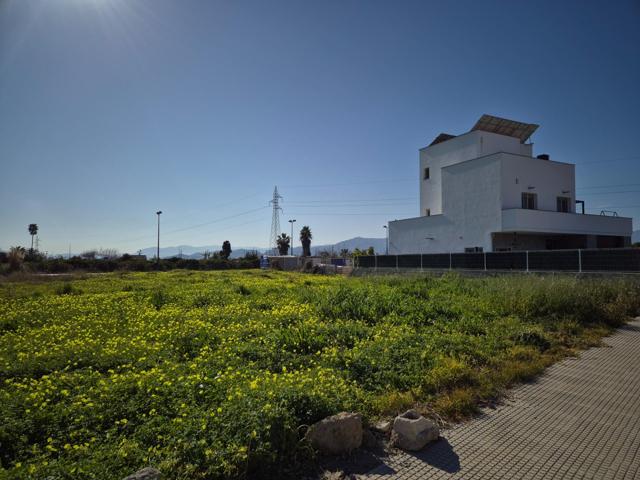 TERRENO URBANO - PLAYA DE MIRAMAR photo 0