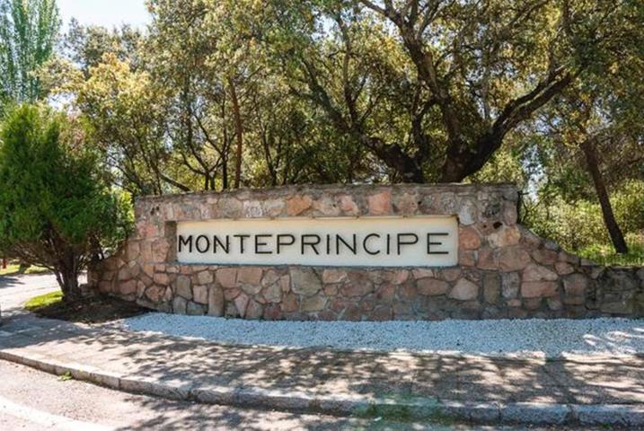 PARCELA URBANIZACIÓN MONTEPRÍNCIPE photo 0