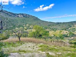 Se vende terreno rústico en Sant Llorenç del Cardassar photo 0