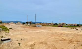 🏡 Parcela en Venta en Exclusiva en Pla de na Tesa – Marratxí 🏡 photo 0