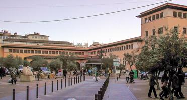 TRASPASO DE NEGOCIO EN MERCADO DEL OLIVAR photo 0