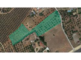 OPORTUNIDAD. SUELO URBANIZABLE SIN COMISIÓN Se aceptan ofertas. Visítelo y presente la suya. photo 0