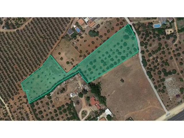 OPORTUNIDAD. SUELO URBANIZABLE SIN COMISIÓN Se aceptan ofertas. Visítelo y presente la suya. photo 0