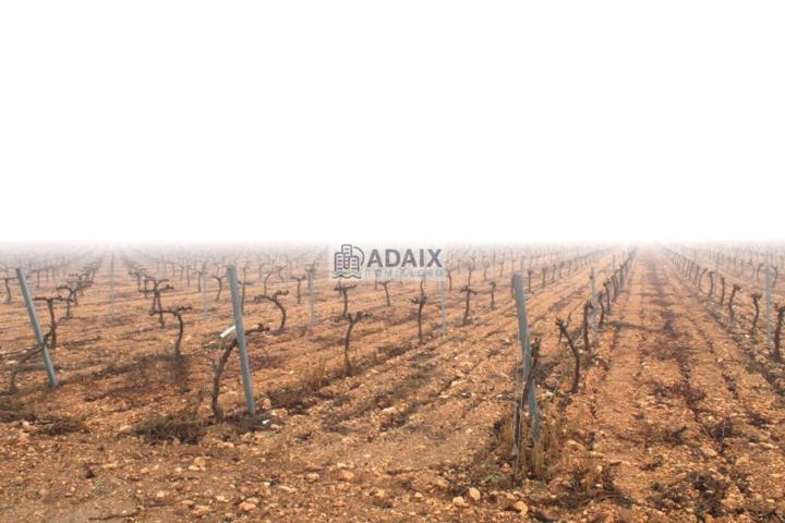 Terreno De Cultivo en Venta en Tomelloso, Ciudad Real photo 0