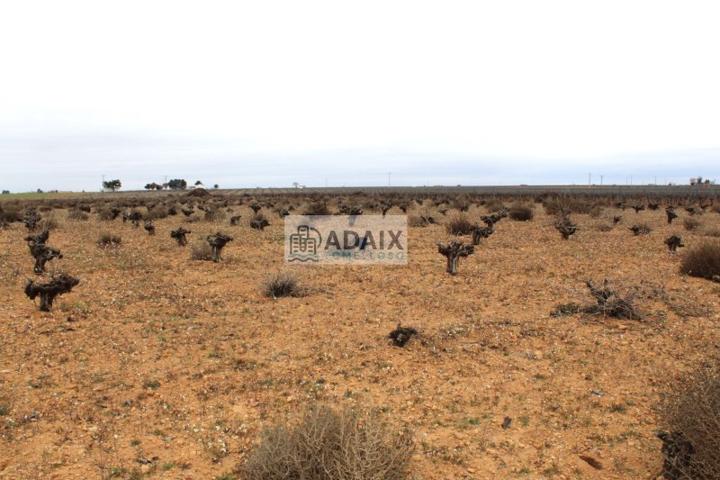 Terreno De Cultivo en Venta en Tomelloso, Ciudad Real photo 0