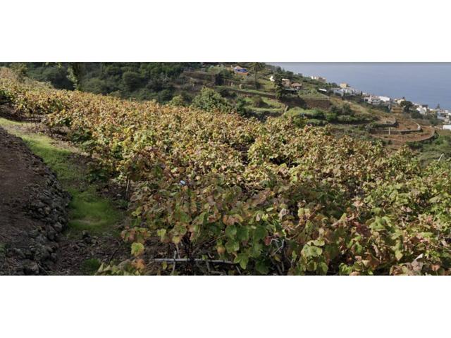 1450m² | Finca rústica en Santa Ursula photo 0