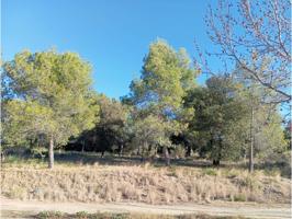 Terreny a Can Gonteres photo 0