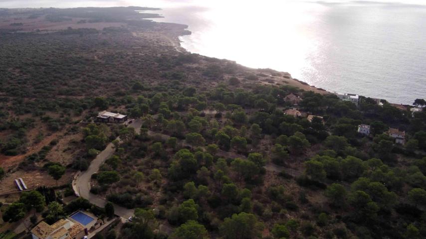 OFERTA 53 PARCELAS EN CALA PI photo 0