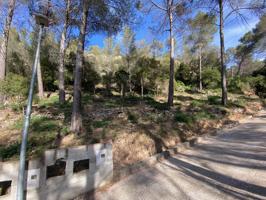 Venta de Terreno en plena naturaleza en Corbera de LLobregat! photo 0