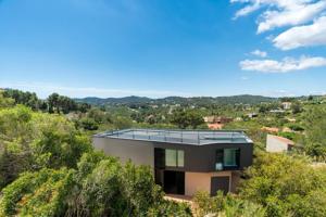 REF AAS 1059 Olivella photo 0