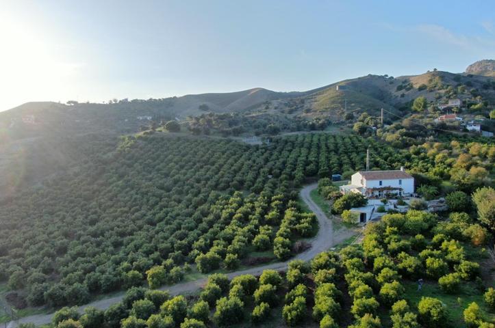 Fincas de Regadío en ÁLORA photo 0