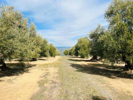 Terreno Urbanizable En venta en Úbeda, Úbeda photo 0