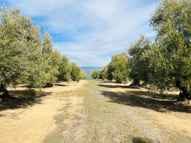 Terreno Urbanizable En venta en Úbeda, Úbeda photo 0