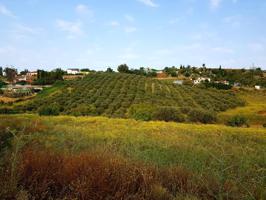 FINCA CON OLIVOS Y TERRENO DE CULTIVO (58.800 M2) photo 0
