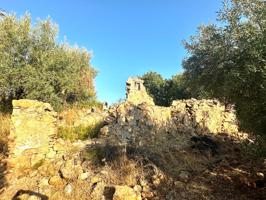 Oportunidad única en Periana (Málaga): 4 parcelas con 400 olivos centenarios Más de 44.000 m² photo 0