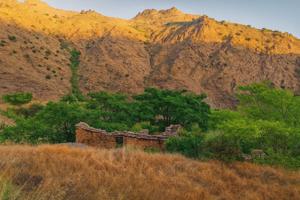 Terreno de 21.000 m2 con gran acceso, cerca de carretera y con opción a luz y agua — un proyecto con potencial photo 0