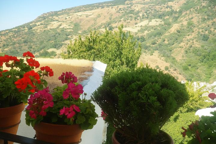 Casa de 180 m² en el casco histórico de Capileira: encanto, vigas de castaño y paz absoluta photo 0