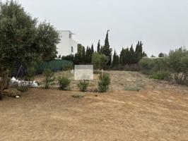 terreno en el Palmar Conil photo 0