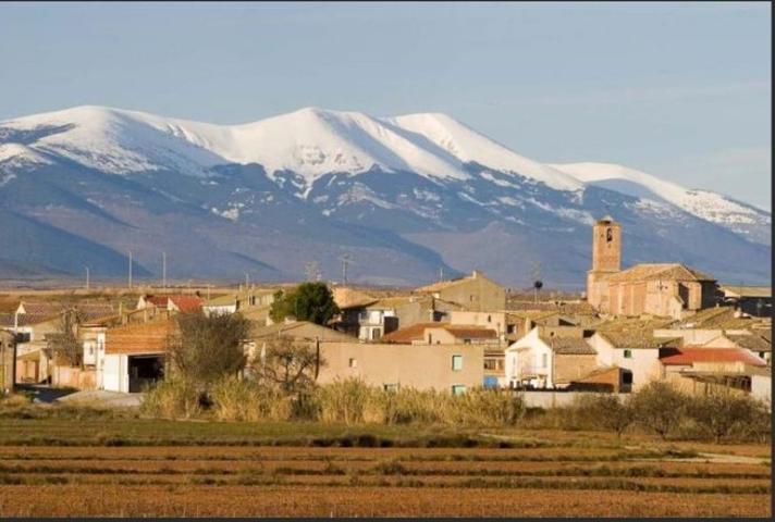Casa En venta en Calle Ancha, 0, Pozuelo De Aragón photo 0