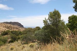 Construye la casa de tus sueños en Las Negras, Parque Natural de Cabo de Gata Nijar photo 0