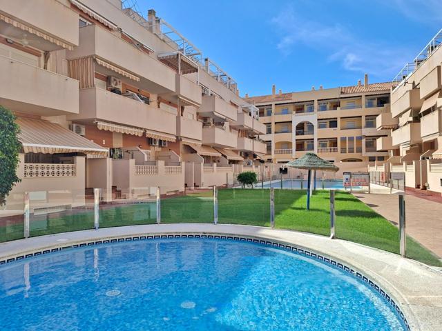 Apartamento a escasos metros de la playa y del paseo marítimo photo 0