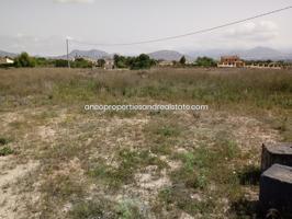 TERRENO EN ZONA URBANIZABLE DE ALTO VALOR PARA CONSTRUIR TU VIVIENDA, PISCINA, CASA DE INVITADOS,... photo 0