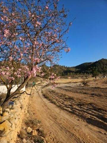 Casa ideal para negocios de animales, turismo rural,.... photo 0