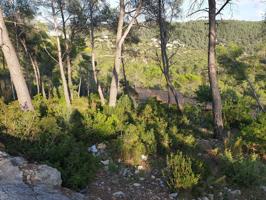 Terreno urbano situado en la Urbanización Las Colinas de Olivella. photo 0