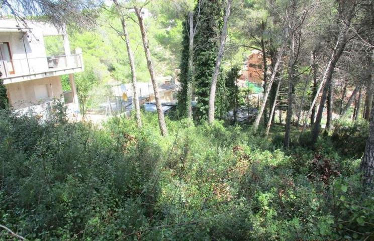 Terreno Urbanizable En venta en Les Palmeres, Canyelles photo 0