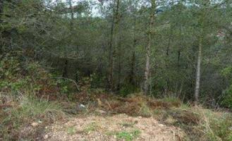 Terreno Urbanizable En venta en Montmell El, El Montmell photo 0