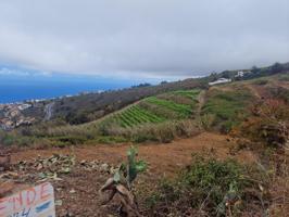 Finca de Cultivo para Viña de Secano u otros cultivos photo 0