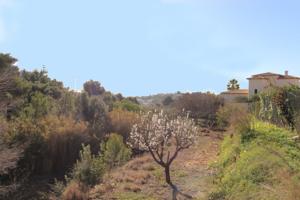 Terreno Urbanizable En venta en Benissa Pueblo, Benissa photo 0