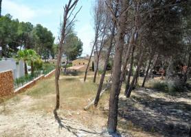 Terreno Urbanizable En venta en Benimeit-Tabaira, Moraira photo 0