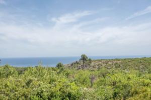 Terreno Urbanizable En venta en Centro Ciudad, Jávea - Xàbia photo 0
