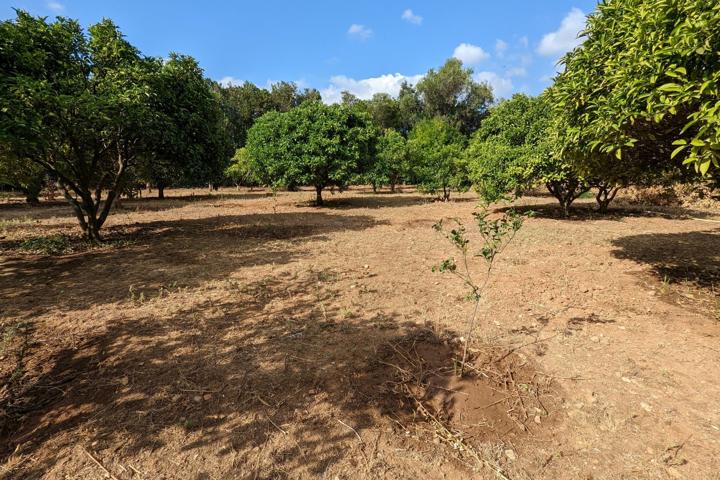 Casa De Campo En venta en Puerto, Denia photo 0
