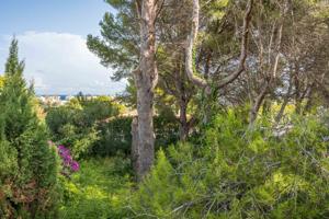 Terreno Urbanizable En venta en Cap Martí - Pinomar, Jávea - Xàbia photo 0