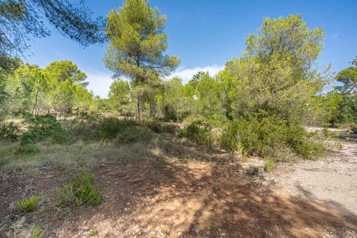 Terreno Urbanizable En venta en Cap Martí - Pinomar, Jávea - Xàbia photo 0
