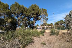 Terreno Urbanizable En venta en Pinar De Advocat-Cometa, Moraira photo 0
