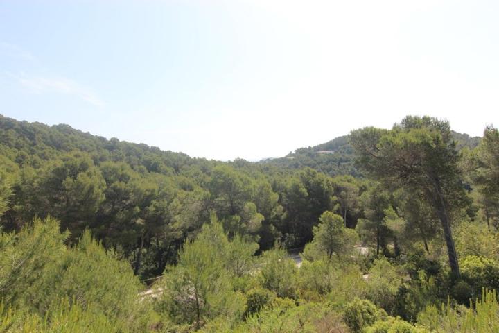 Terreno Urbanizable En venta en Partida Comunes-Adsubia, Jávea - Xàbia photo 0