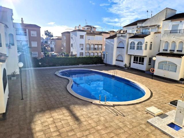 Planta baja Torrevieja (La Veleta) photo 0