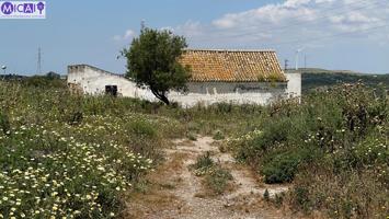 En venta: 3 hectareas con casa y nave en el Pago de la Guantera (Medina Sidonia) photo 0