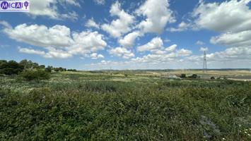 En venta 4 hectáreas sin construcción en el Pago de la Guantera (Medina Sidonia) photo 0