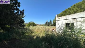 Parcela en zona de Pelagatos (Chiclana) photo 0