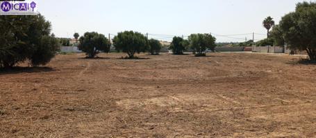 Parcela en venta en Chiclana photo 0