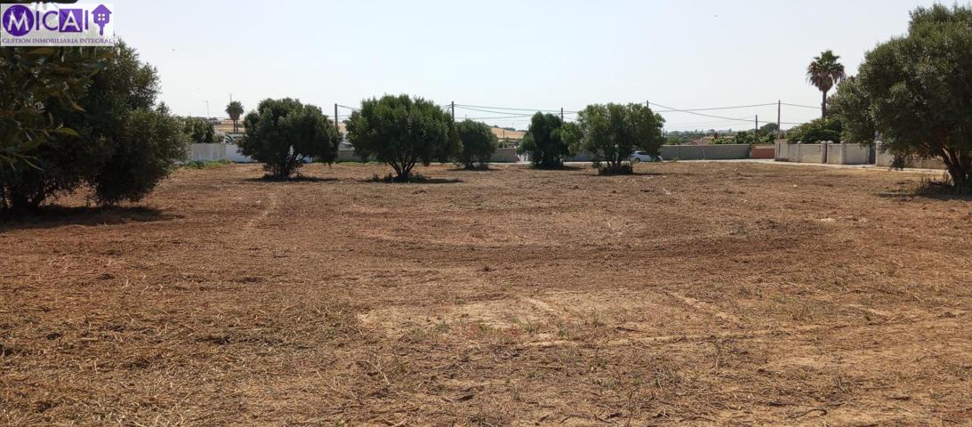 Parcela en venta en Chiclana photo 0