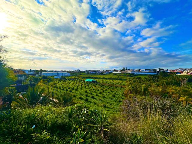¡Oportunidad única en la Costa del Sol! Parcela en Venta entre Estepona y Marbella photo 0