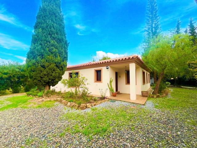 Oportunidad única en Estepona: Finca Rústica entre el campo y la ciudad photo 0