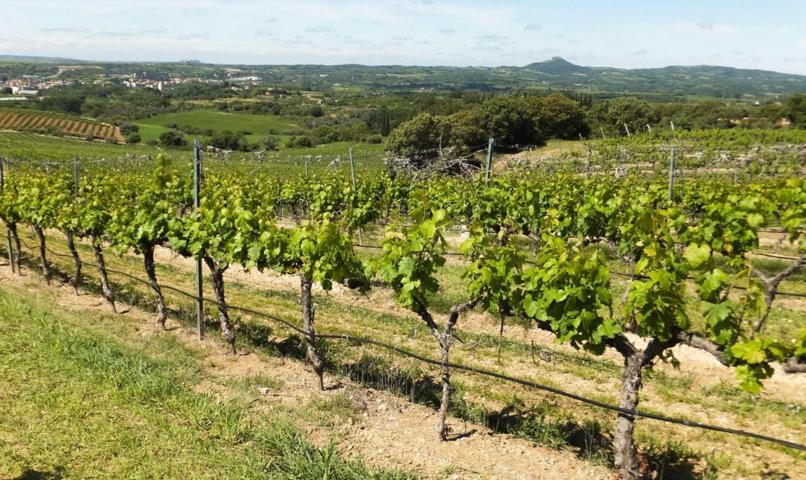 Excepcional finca rústica de 46.000 m² a solo 500 metros del mar – Gran potencial de inversión en la photo 0