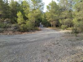PARCELA RUSTICA EN ALCORA CON POSIBILIDAD DE URBANIZAR UNA PARTE photo 0