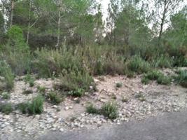 FINCA RUSTICA EN TORRE ENDOMENECH photo 0